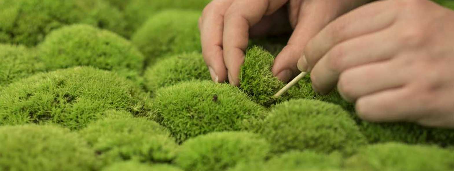 Uitgelezene DIY Moss – make your own moss panel — Mosmuur HZ-13