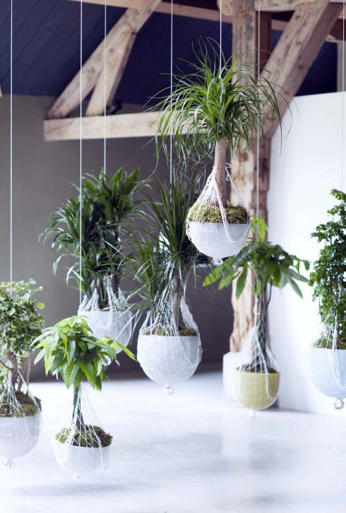 voorkomen Afscheiden Kwalificatie Hangplanten – Wall planters — Nada