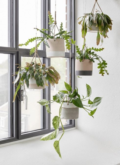 voorkomen Afscheiden Kwalificatie Hangplanten – Wall planters — Nada